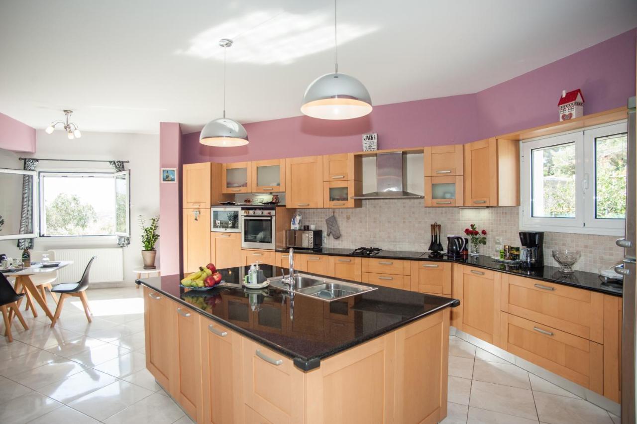 Nikos Apartments Spacious And Panoramic Argostoli (Kefalonia) Exterior foto